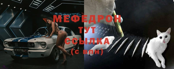 спиды Вяземский