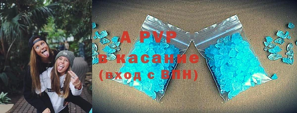 спиды Вяземский