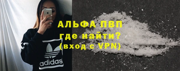 спиды Вяземский