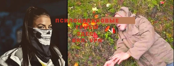 бошки Волоколамск