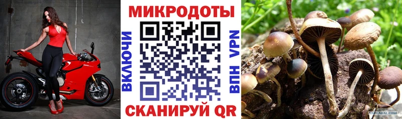 закладка  KRAKEN сайт  Галлюциногенные грибы Magic Shrooms  Зубцов 
