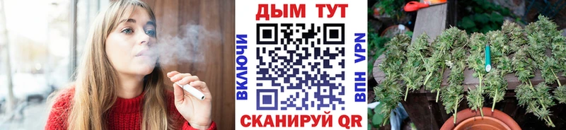Каннабис семена Зубцов
